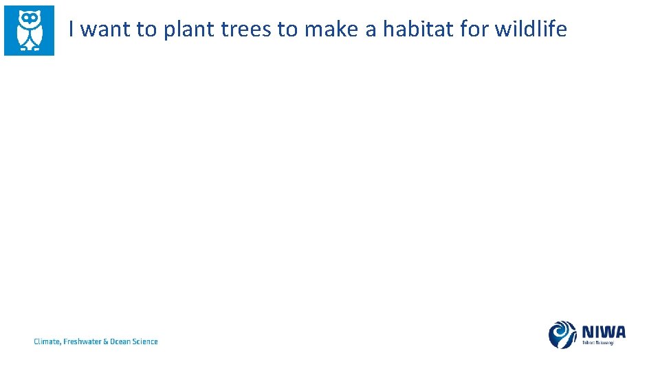 I want to plant trees to make a habitat for wildlife 