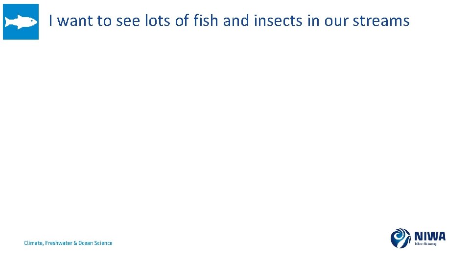 I want to see lots of fish and insects in our streams 