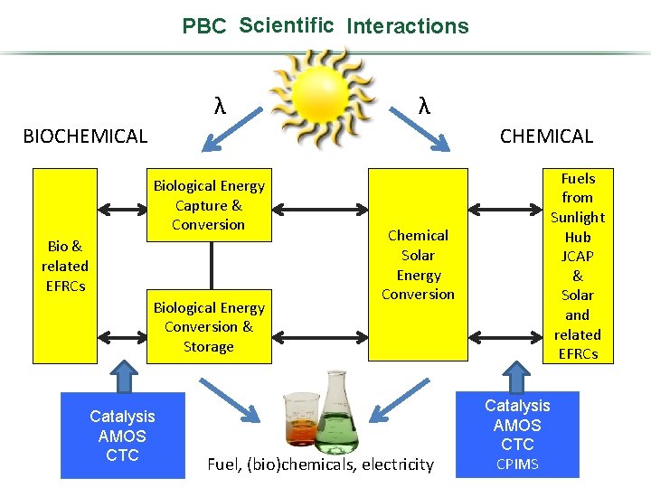 PBC Scientific Program Interactions λ λ BIOCHEMICAL Biological Energy Photosynthetic Capture Systems& Conversion Bio