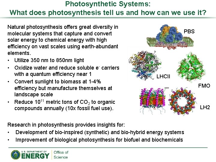 Photosynthetic Systems: What does photosynthesis tell us and how can we use it? Natural