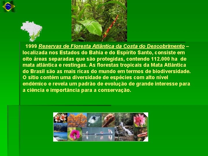 1999 Reservas de Floresta Atlântica da Costa do Descobrimento – localizada nos Estados do