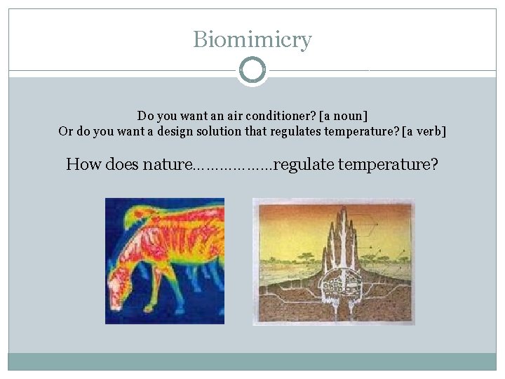 Biomimicry Do you want an air conditioner? [a noun] Or do you want a