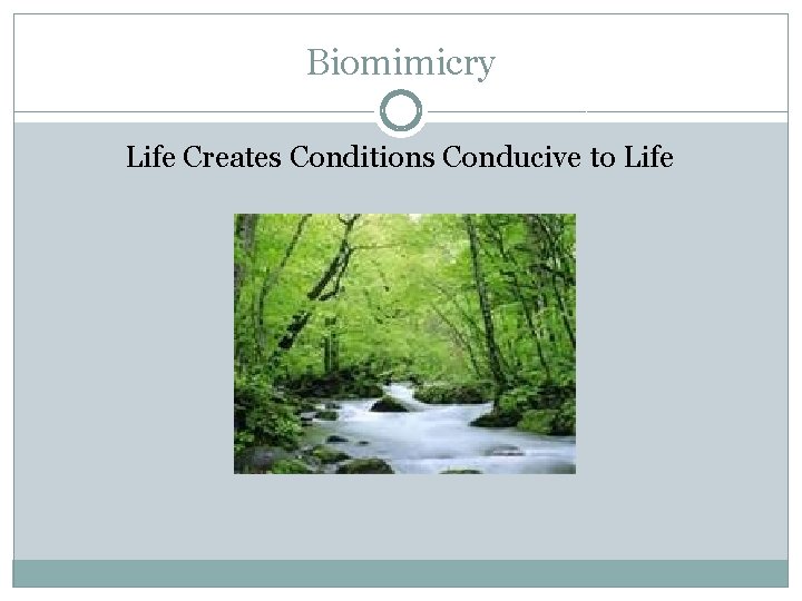 Biomimicry Life Creates Conditions Conducive to Life 