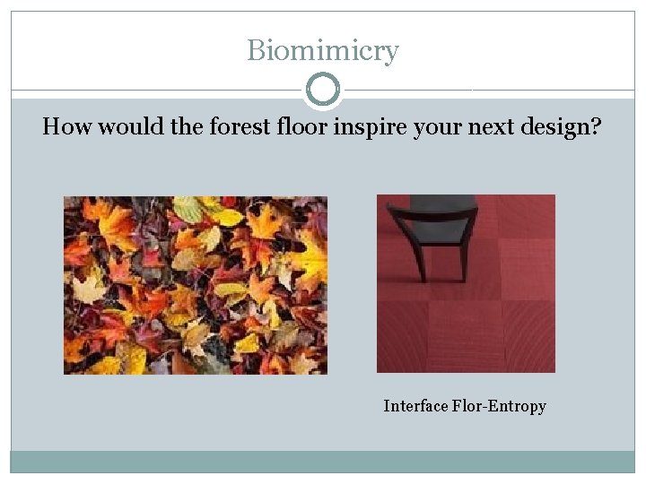 Biomimicry How would the forest floor inspire your next design? Interface Flor-Entropy 