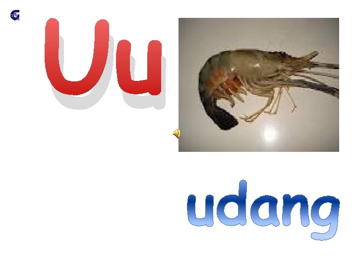 Uu 