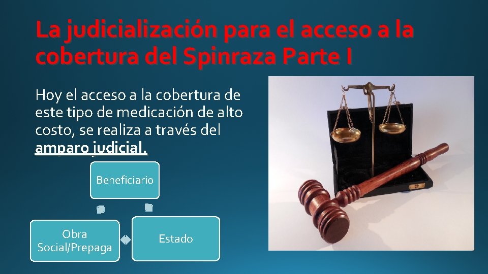 La judicialización para el acceso a la cobertura del Spinraza Parte I Hoy el