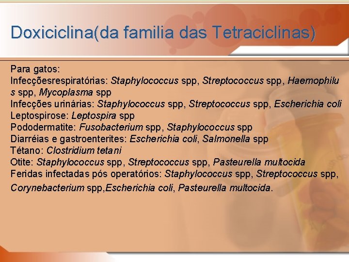 Doxiciclina(da familia das Tetraciclinas) Para gatos: Infecçõesrespiratórias: Staphylococcus spp, Streptococcus spp, Haemophilu s spp,