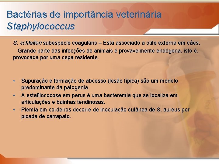 Bactérias de importância veterinária Staphylococcus S. schleiferi subespécie coagulans – Está associado a otite