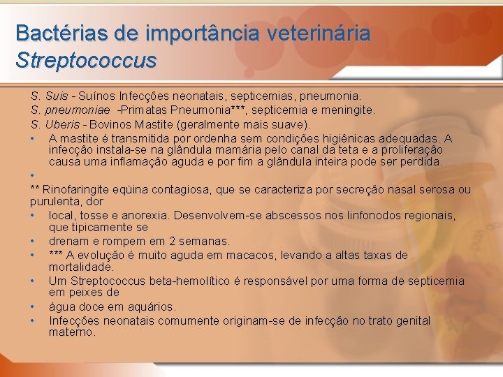 Bactérias de importância veterinária Streptococcus S. Suis - Suínos Infecções neonatais, septicemias, pneumonia. S.