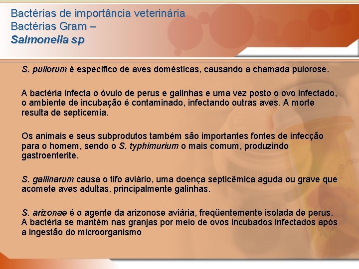 Bactérias de importância veterinária Bactérias Gram – Salmonella sp S. pullorum é específico de