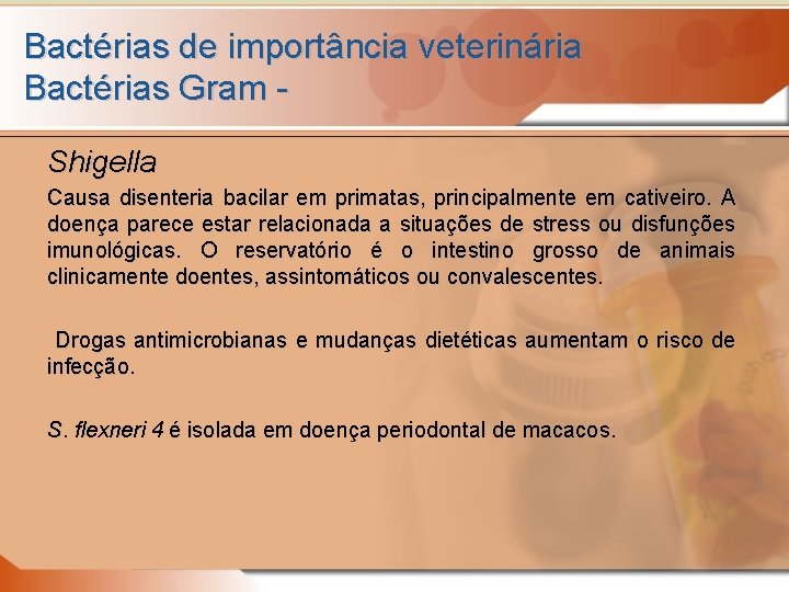 Bactérias de importância veterinária Bactérias Gram Shigella Causa disenteria bacilar em primatas, principalmente em