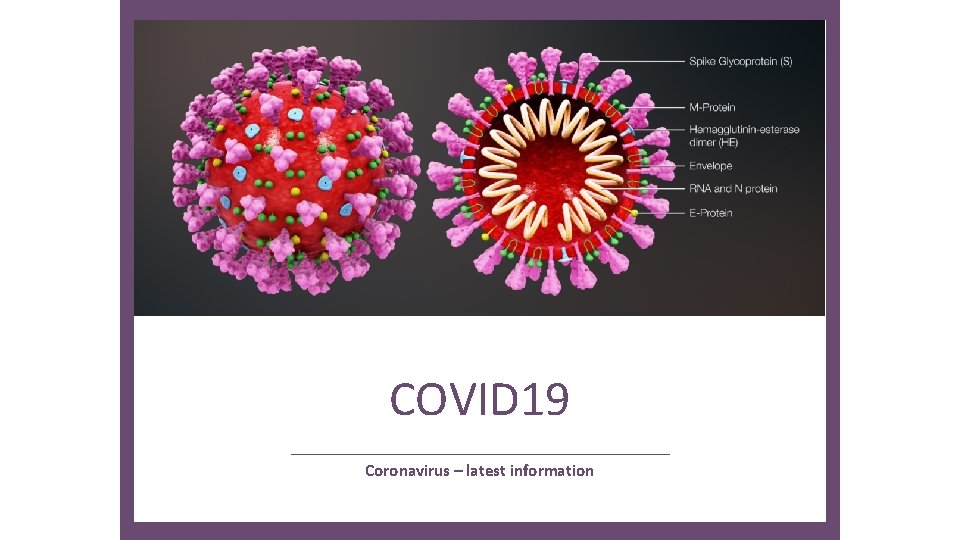 COVID 19 Coronavirus – latest information 