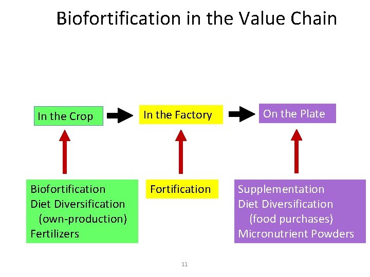 Biofortification in the Value Chain In the Crop Biofortification Diet Diversification (own-production) Fertilizers In