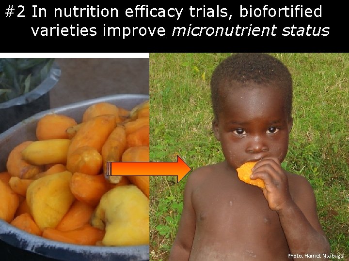 #2 In nutrition efficacy trials, biofortified varieties improve micronutrient status Photo: Harriet Nsubuga 