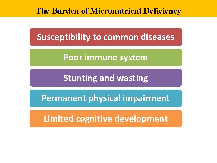 The Burden of Micronutrient Deficiency Susceptibility to common diseases Poor immune system Stunting and