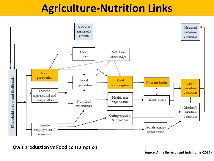 Agriculture-Nutrition Links Own production vs Food consumption Source: Anna Herforth and Jody Harris (2013)