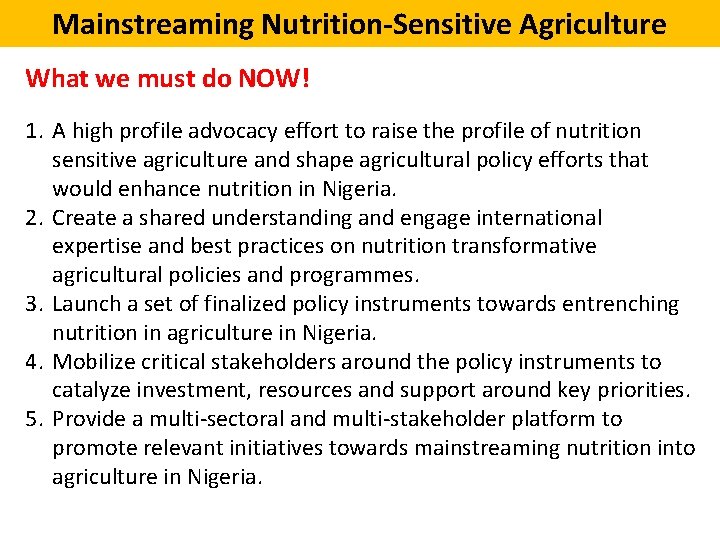 Mainstreaming Nutrition-Sensitive Agriculture What we must do NOW! 1. A high profile advocacy effort