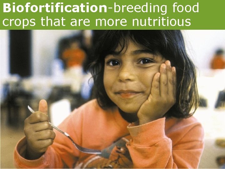 Biofortification-breeding food crops that are more nutritious 