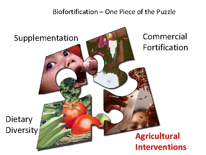 Biofortification – One Piece of the Puzzle Supplementation Dietary Diversity Commercial Fortification Agricultural Interventions