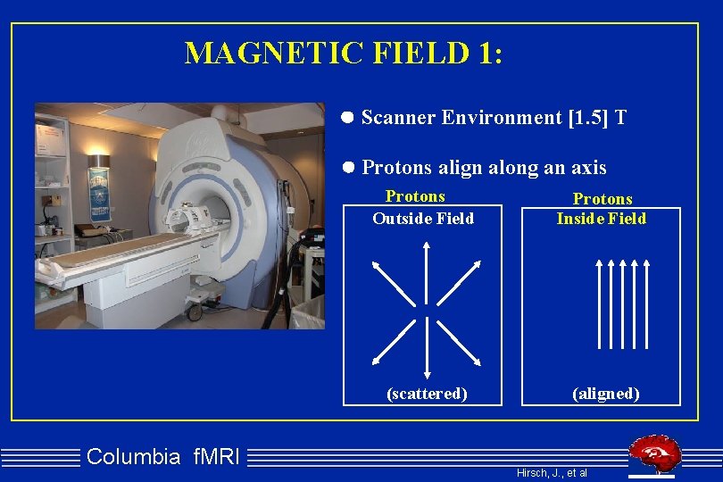 MAGNETIC FIELD 1: Scanner Environment [1. 5] T Protons align along an axis Columbia