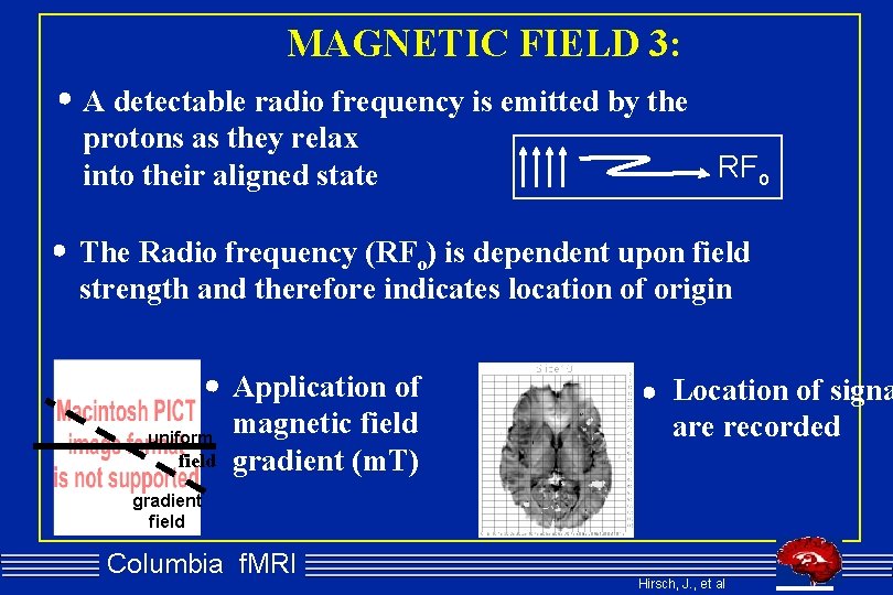MAGNETIC FIELD 3: A detectable radio frequency is emitted by the protons as they