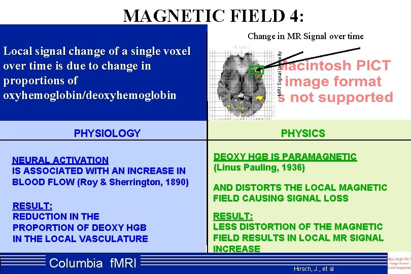 MAGNETIC FIELD 4: Local signal change of a single voxel over time is due