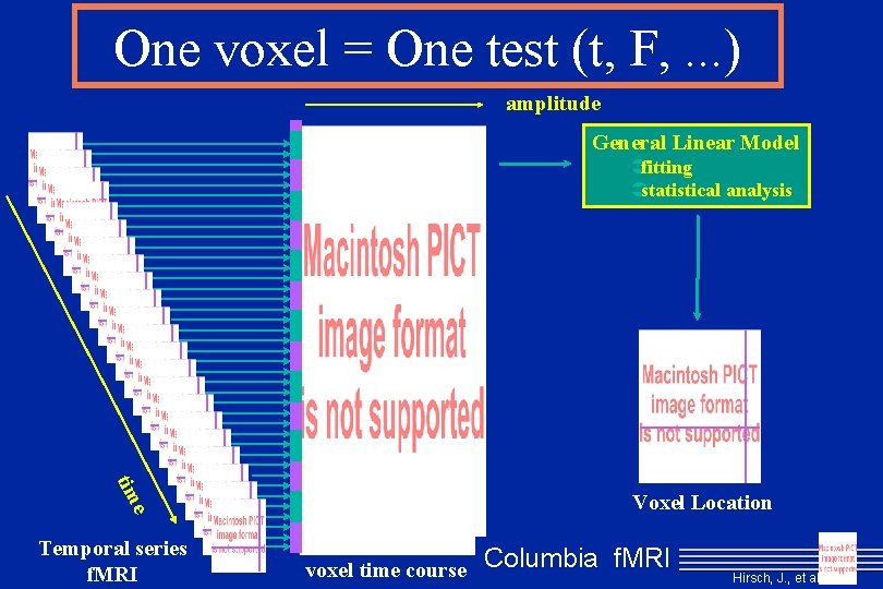 One voxel = One test (t, F, . . . ) amplitude General Linear