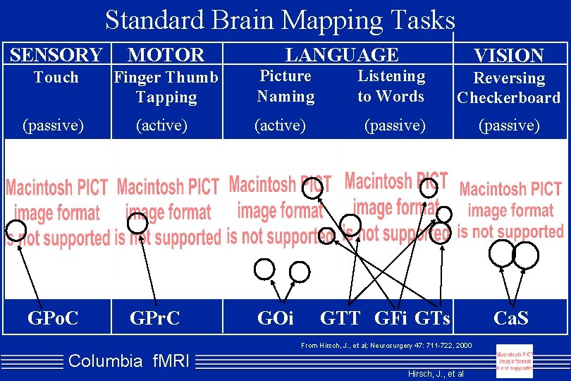 Standard Brain Mapping Tasks SENSORY MOTOR Touch Finger Thumb Tapping (passive) (active) GPo. C