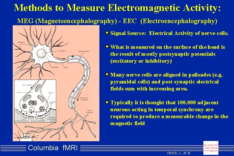 Methods to Measure Electromagnetic Activity: MEG (Magnetoencephalography) - EEC (Electroencephalography) Signal Source: Electrical Activity