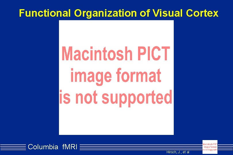 Functional Organization of Visual Cortex Columbia f. MRI Hirsch, J. , et al 