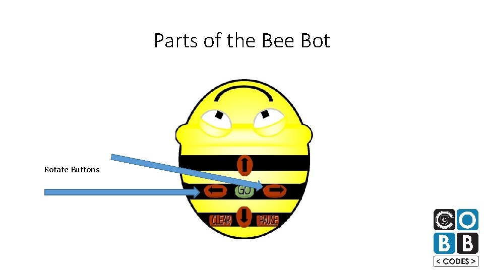 Parts of the Bee Bot Rotate Buttons 
