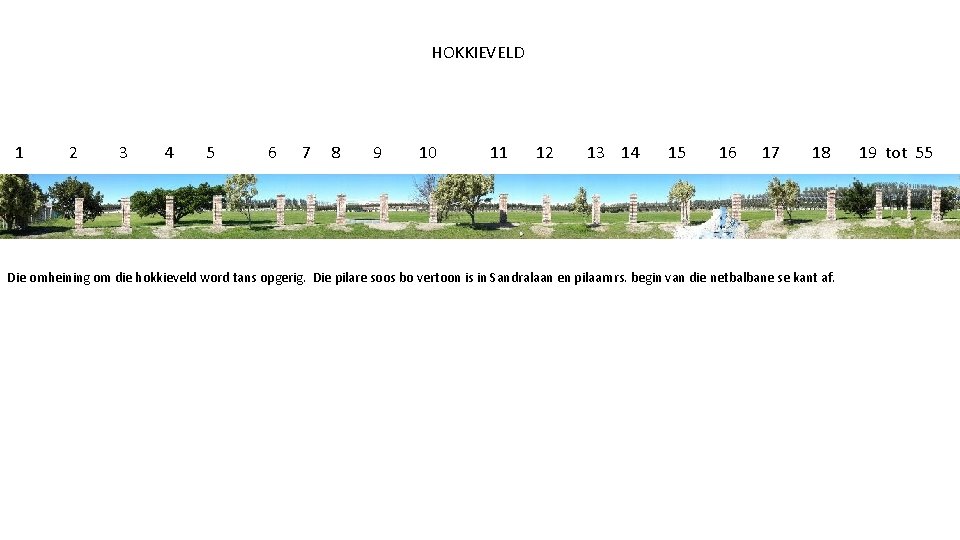 HOKKIEVELD 1 2 3 4 5 6 7 8 9 10 11 12 13