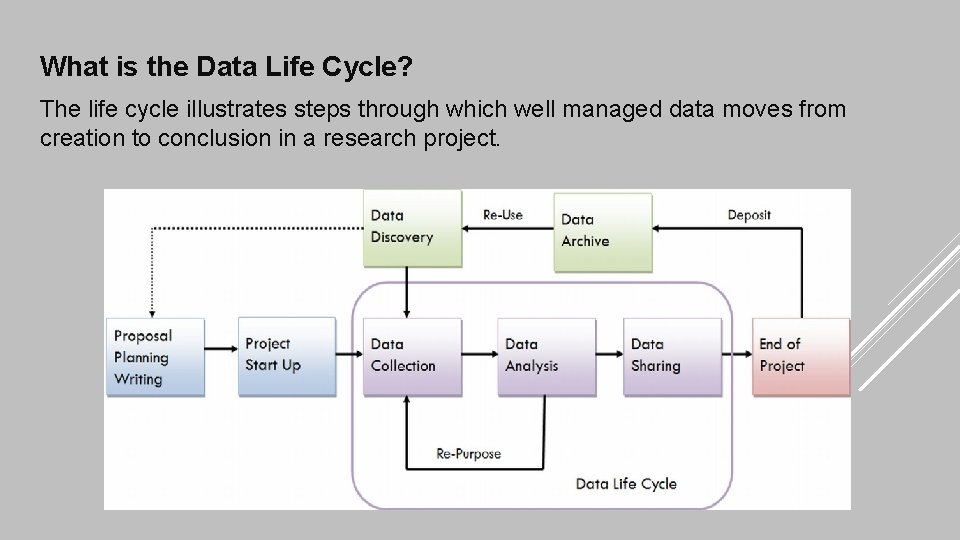 What is the Data Life Cycle? The life cycle illustrates steps through which well