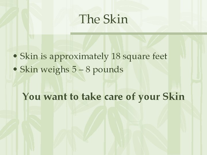 The Skin • Skin is approximately 18 square feet • Skin weighs 5 –