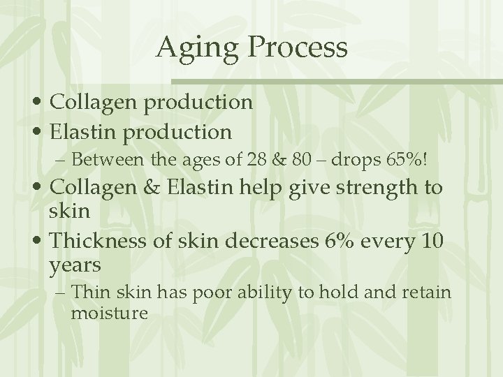Aging Process • Collagen production • Elastin production – Between the ages of 28