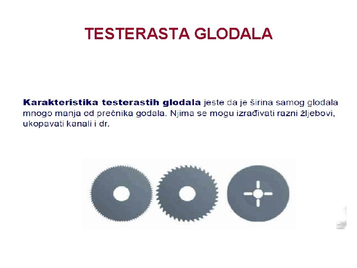 TESTERASTA GLODALA 