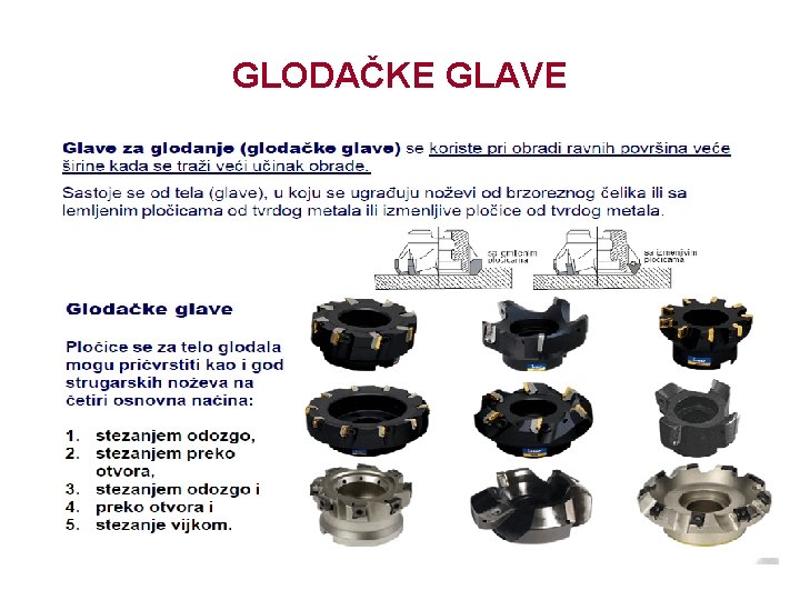 GLODAČKE GLAVE 