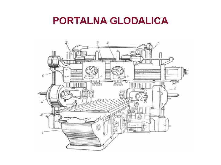 PORTALNA GLODALICA 