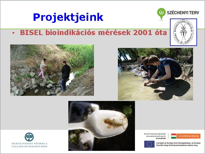 Projektjeink • BISEL bioindikációs mérések 2001 óta 