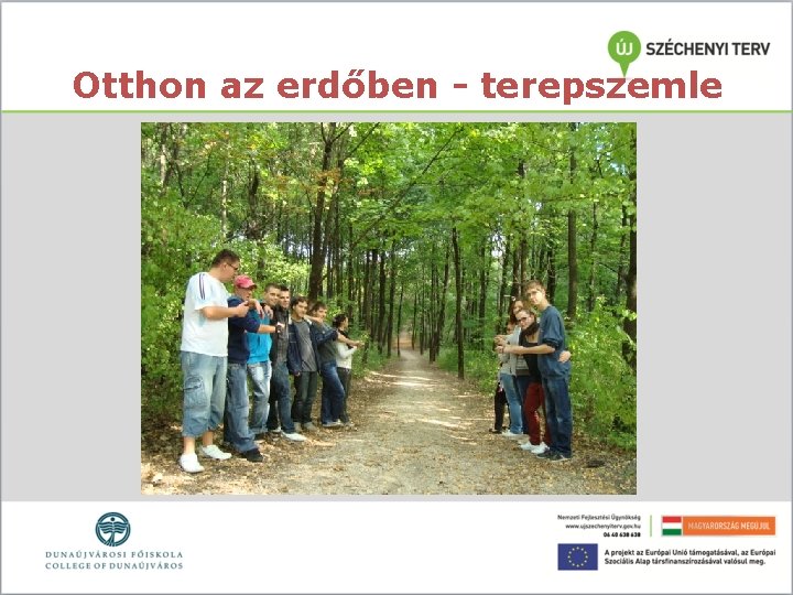 Otthon az erdőben - terepszemle 