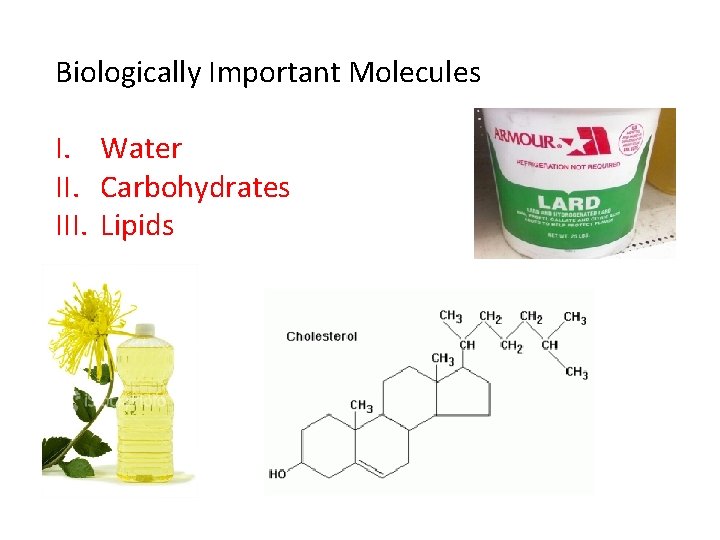 Biologically Important Molecules I. Water II. Carbohydrates III. Lipids 