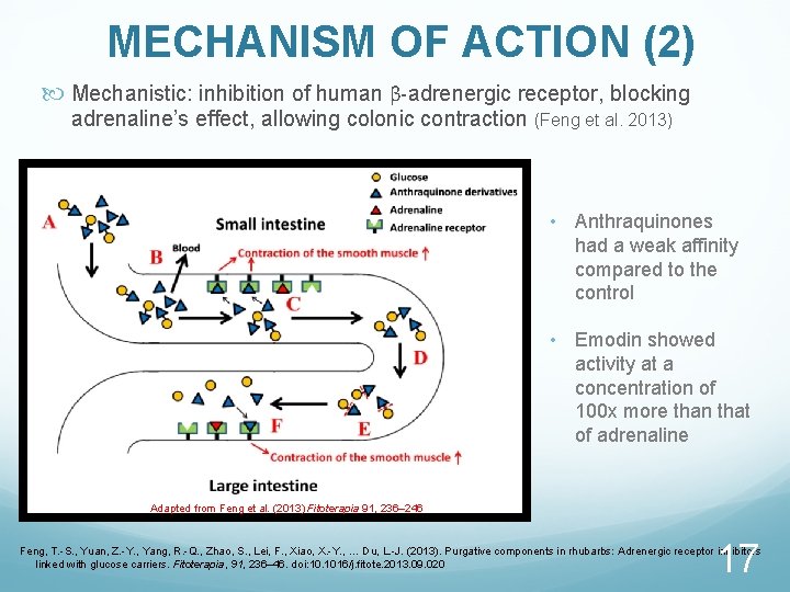 MECHANISM OF ACTION (2) Mechanistic: inhibition of human β-adrenergic receptor, blocking adrenaline’s effect, allowing
