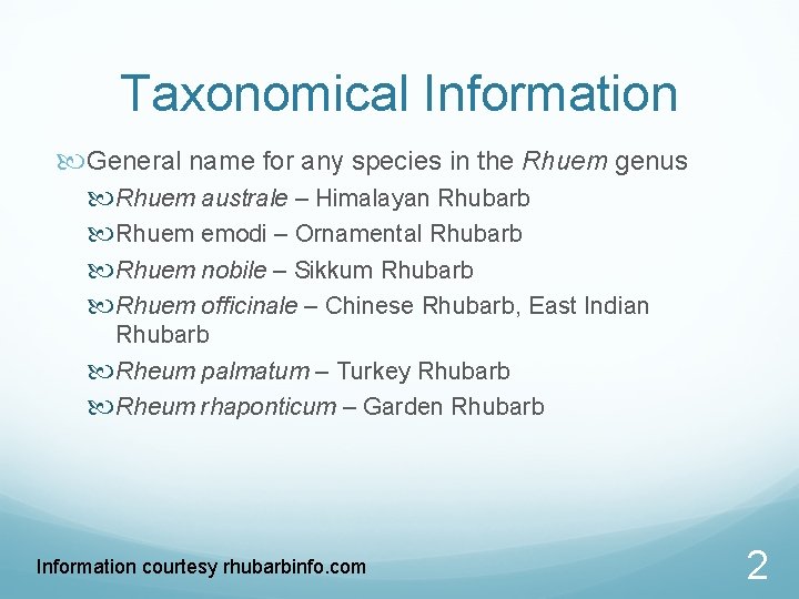 Taxonomical Information General name for any species in the Rhuem genus Rhuem australe –