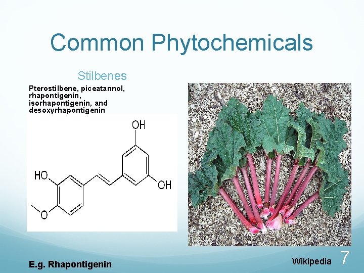 Common Phytochemicals Stilbenes Pterostilbene, piceatannol, rhapontigenin, isorhapontigenin, and desoxyrhapontigenin E. g. Rhapontigenin Wikipedia 7