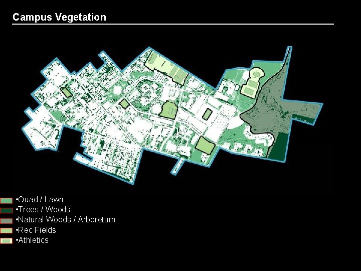 Campus Vegetation Fault Line University of Kentucky • Quad / Lawn • Trees /