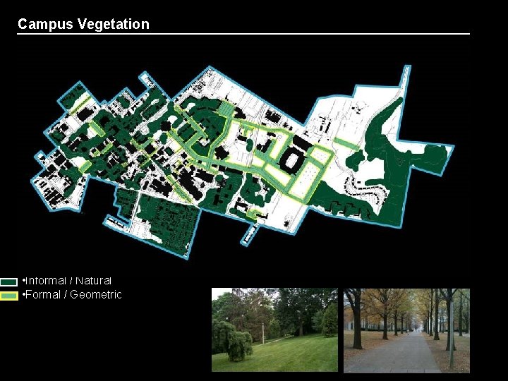 Campus Vegetation Fault Line University of Kentucky • Informal / Natural • Formal /