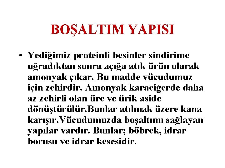 BOŞALTIM YAPISI • Yediğimiz proteinli besinler sindirime uğradıktan sonra açığa atık ürün olarak amonyak