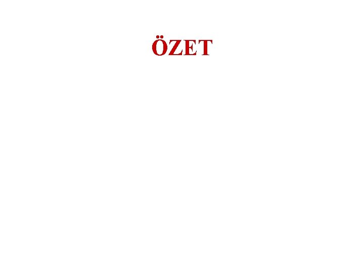 ÖZET 