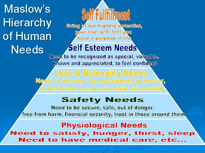 Maslow’s Hierarchy of Human Needs 