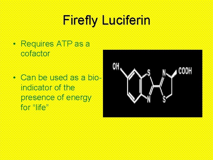 Firefly Luciferin • Requires ATP as a cofactor • Can be used as a